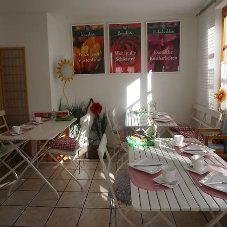 Pension Ins Fischernetz - Hanser 3* Meersburg