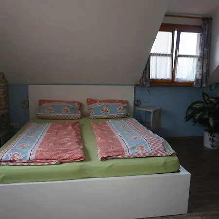 Pension Ins Fischernetz - Hanser Meersburg